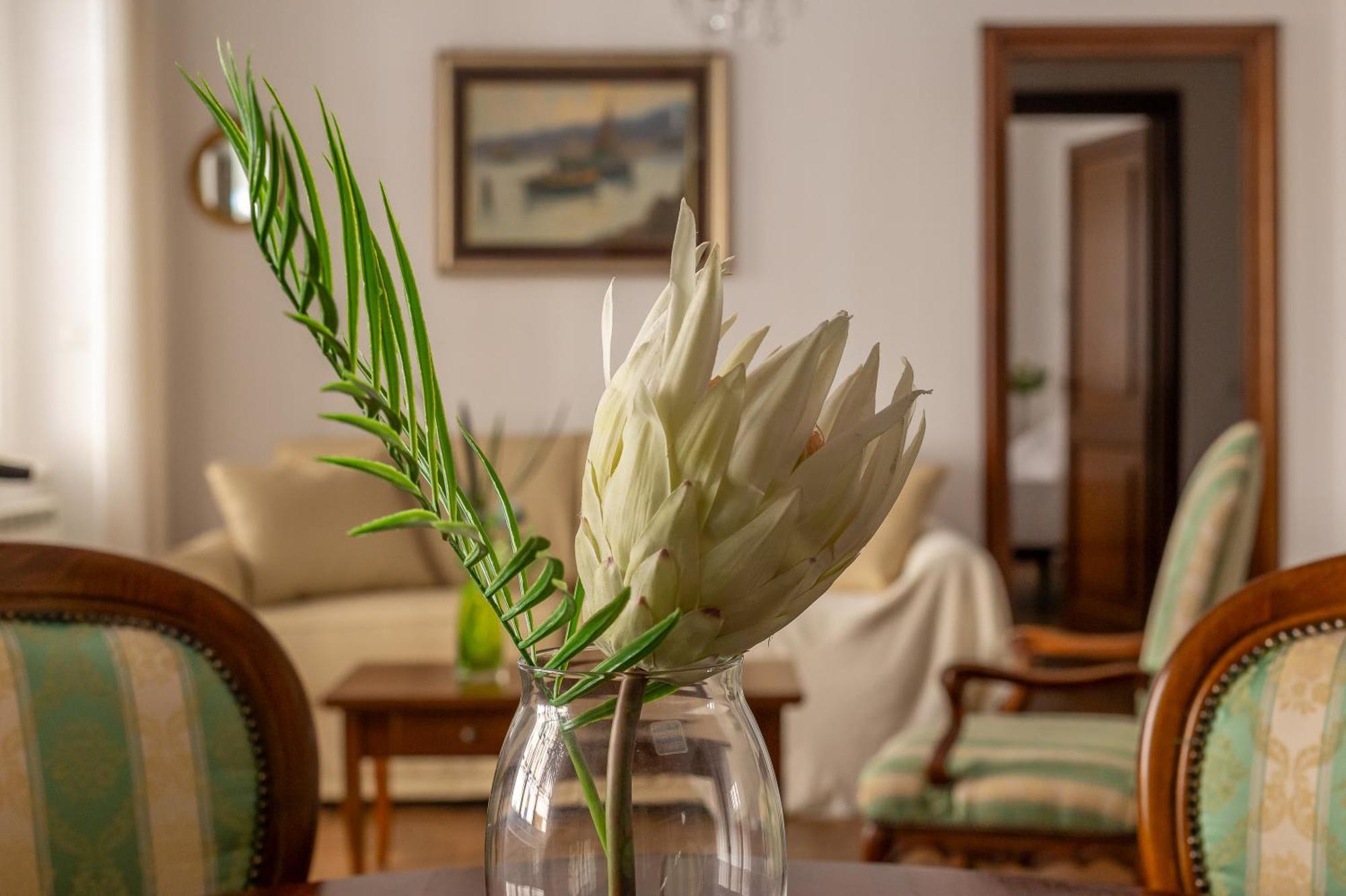 רומא Iflat Vatican Spacious Apartment With Terrace מראה חיצוני תמונה